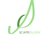 Scapeology logo